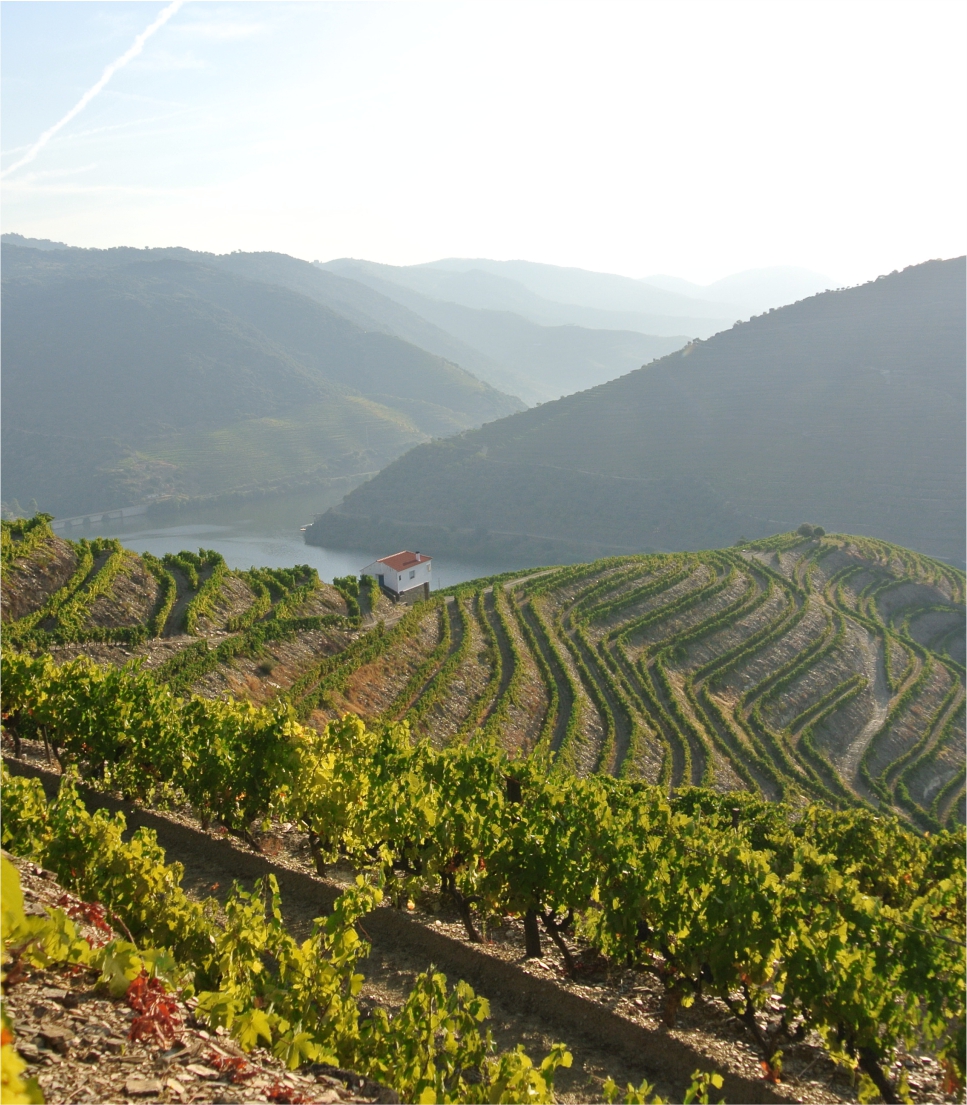 Exploring Douro Valley