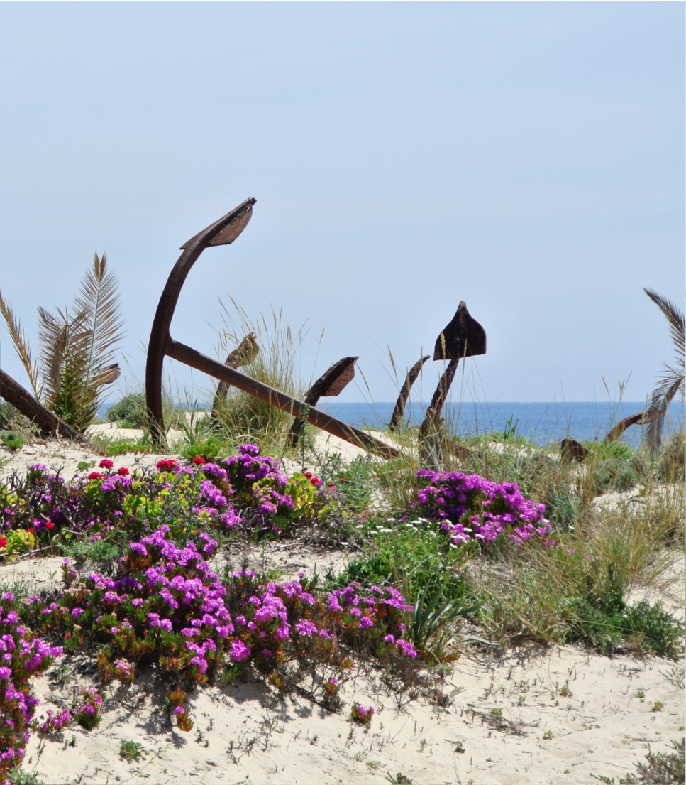 Family Holidays Algarve
