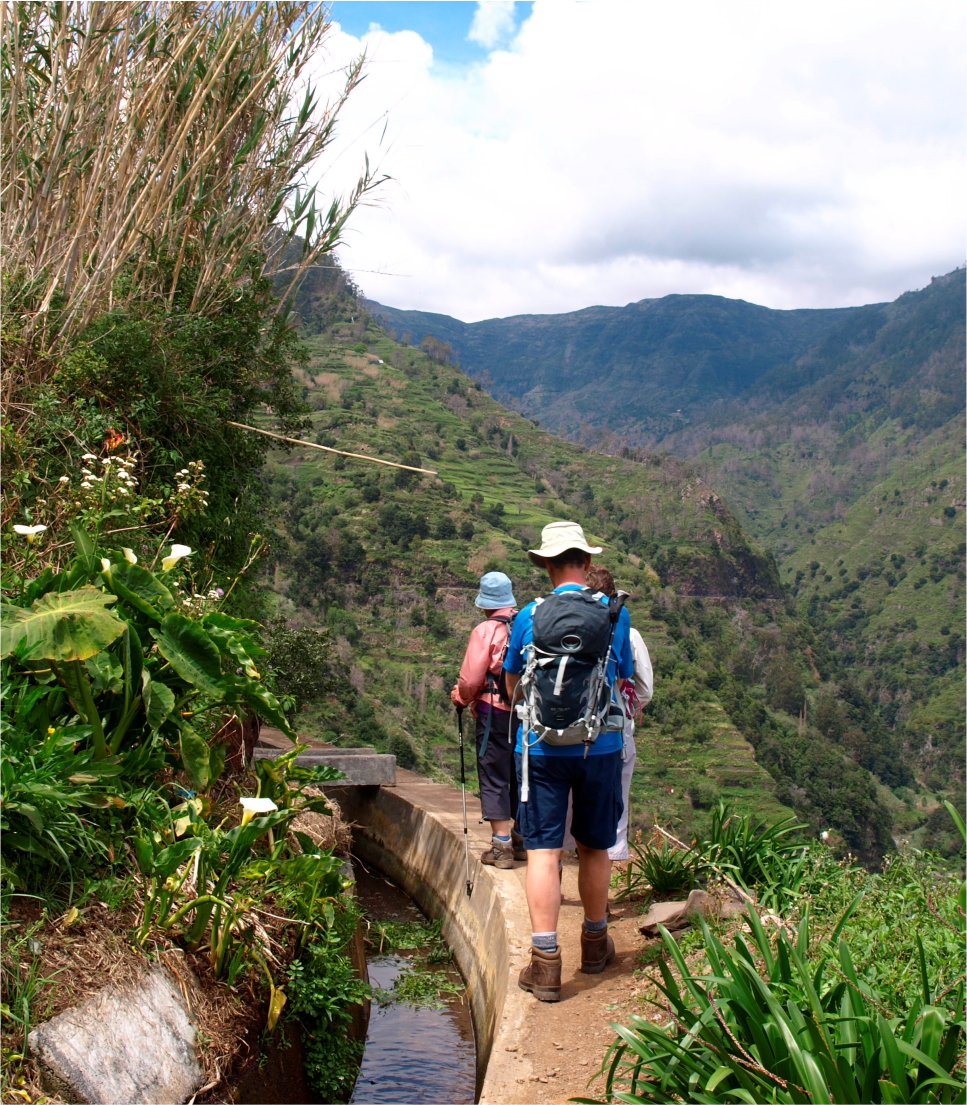 Madeira Atlantic Emerald