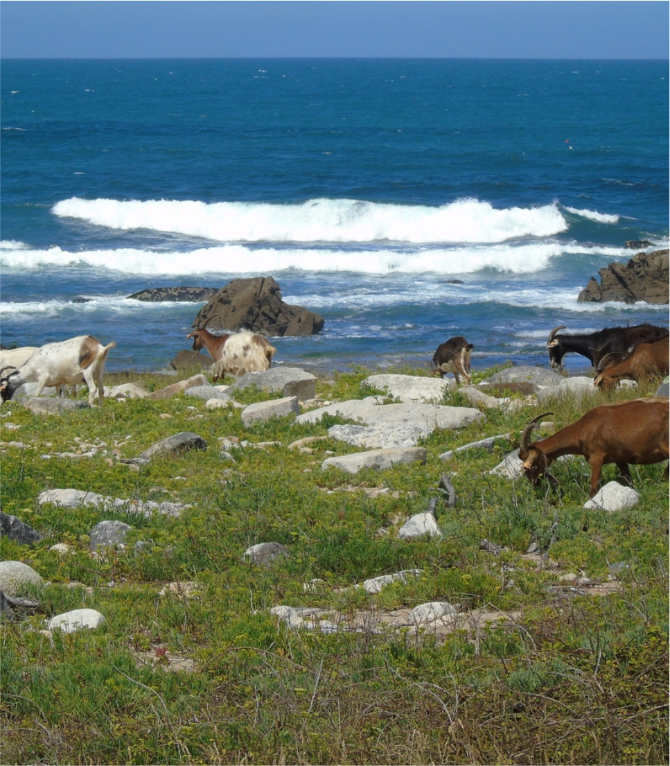 Portugal’s Costa Verde