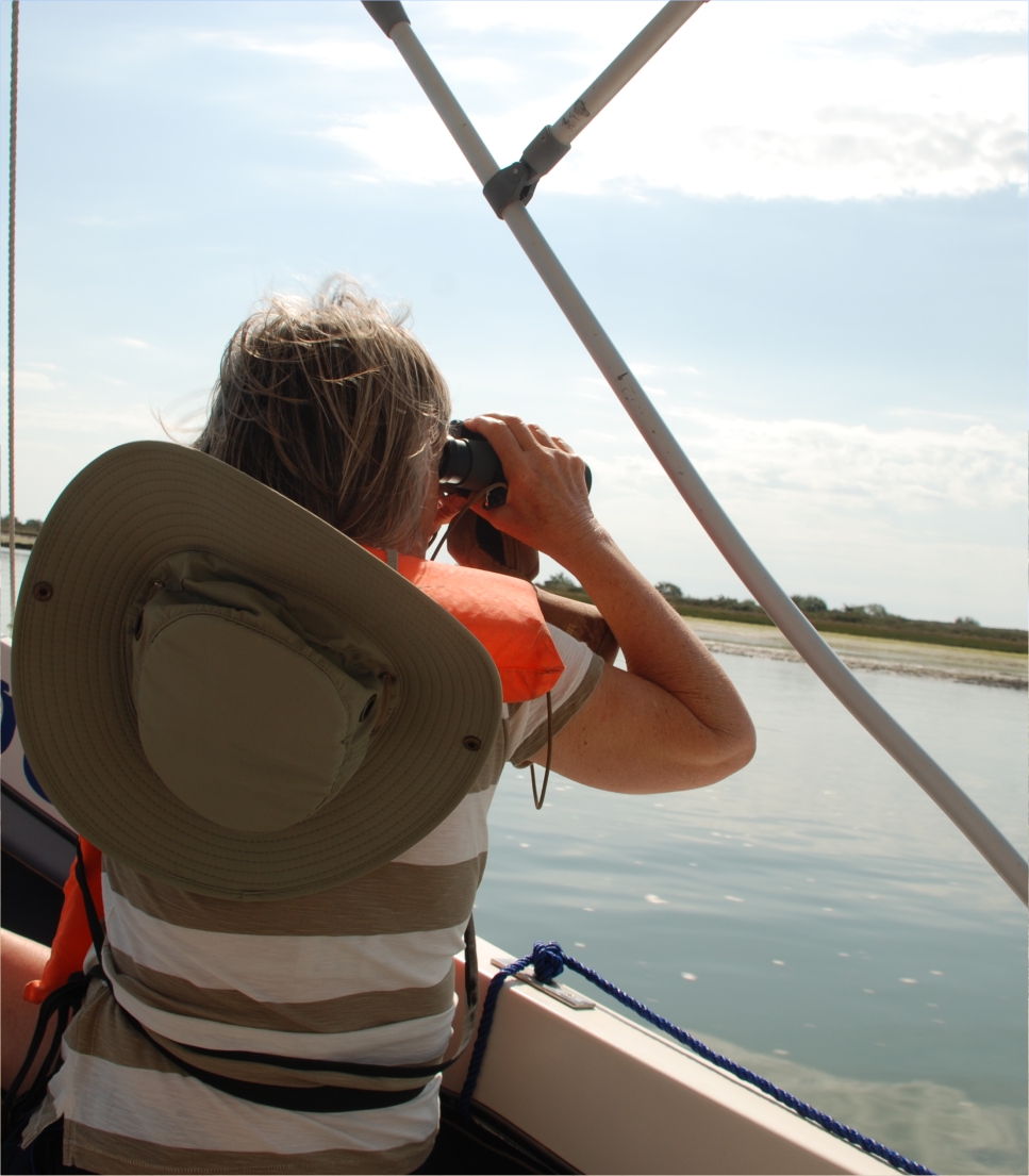 Birding in Tavira and Ria Formosa