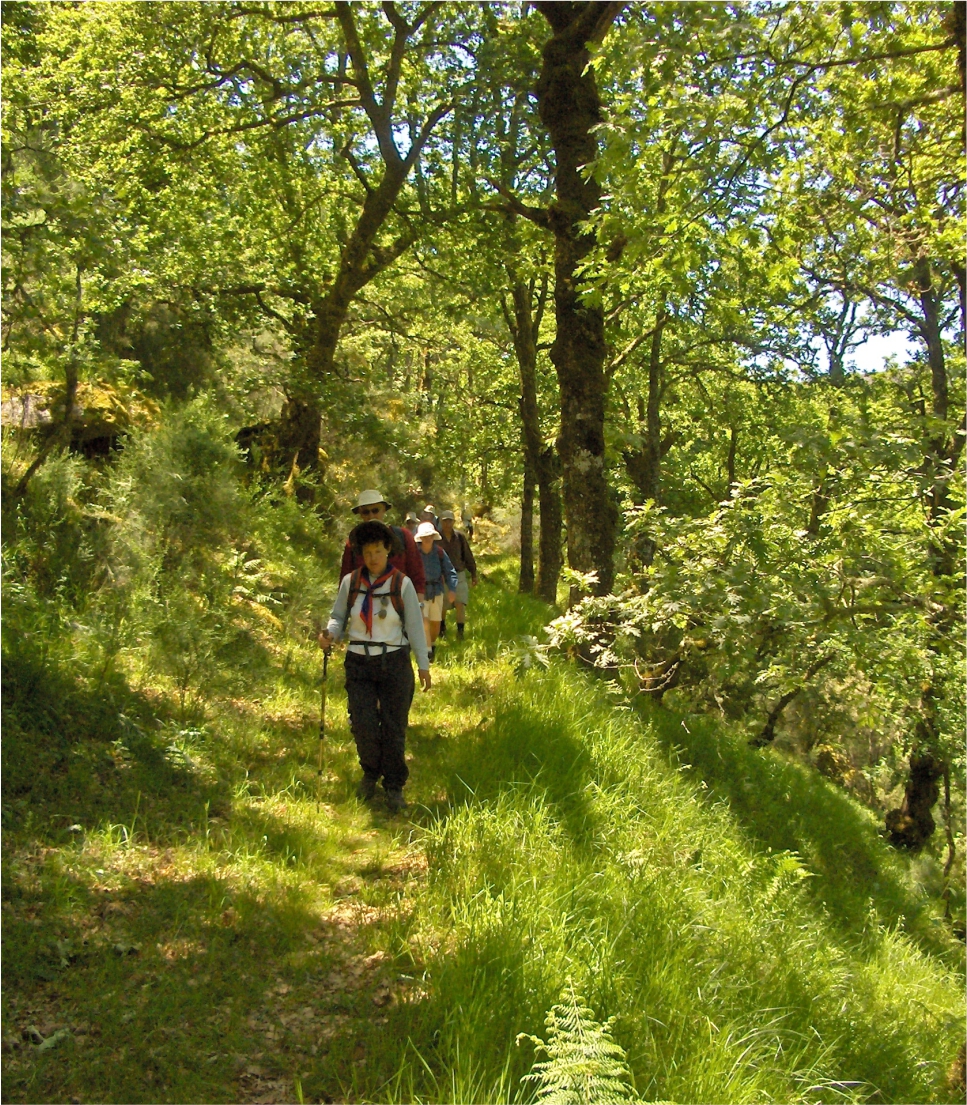 Serra Estrela Natural Park