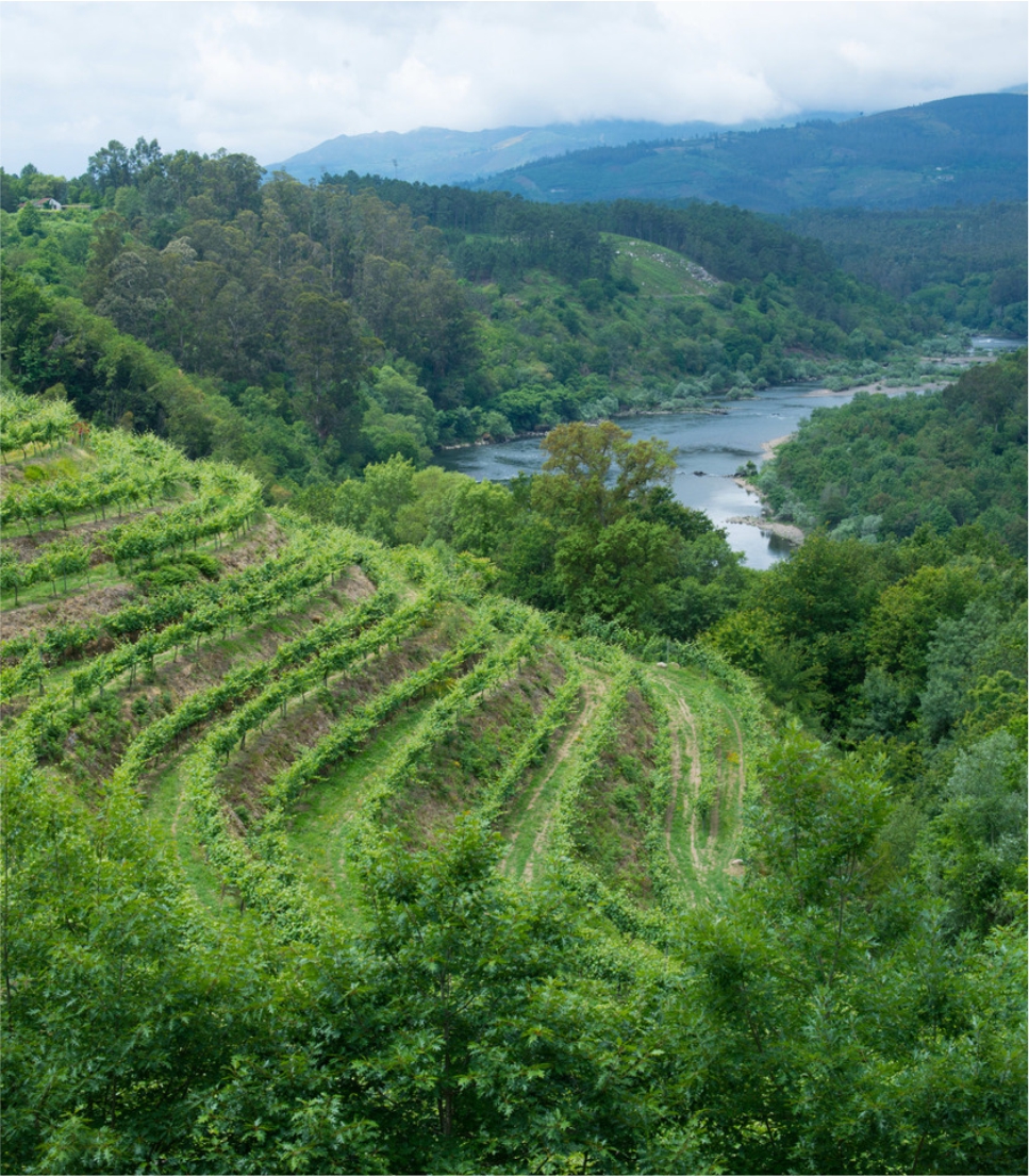 The Magical Douro