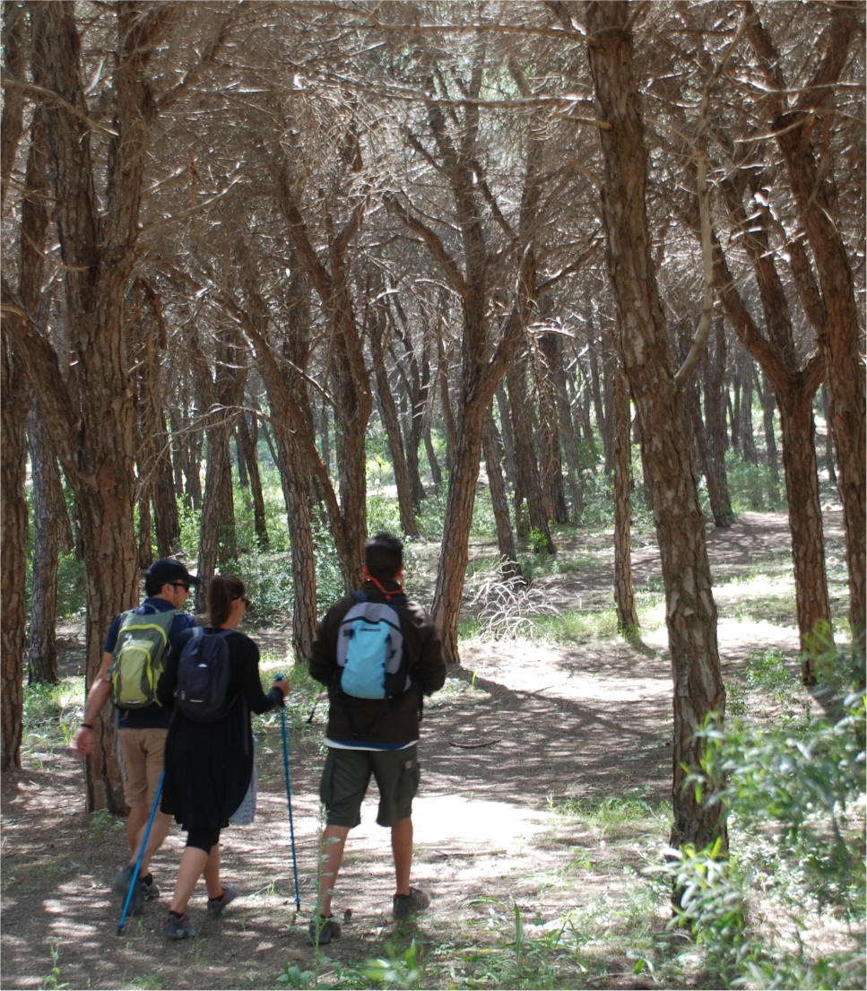 Walking The West Algarve