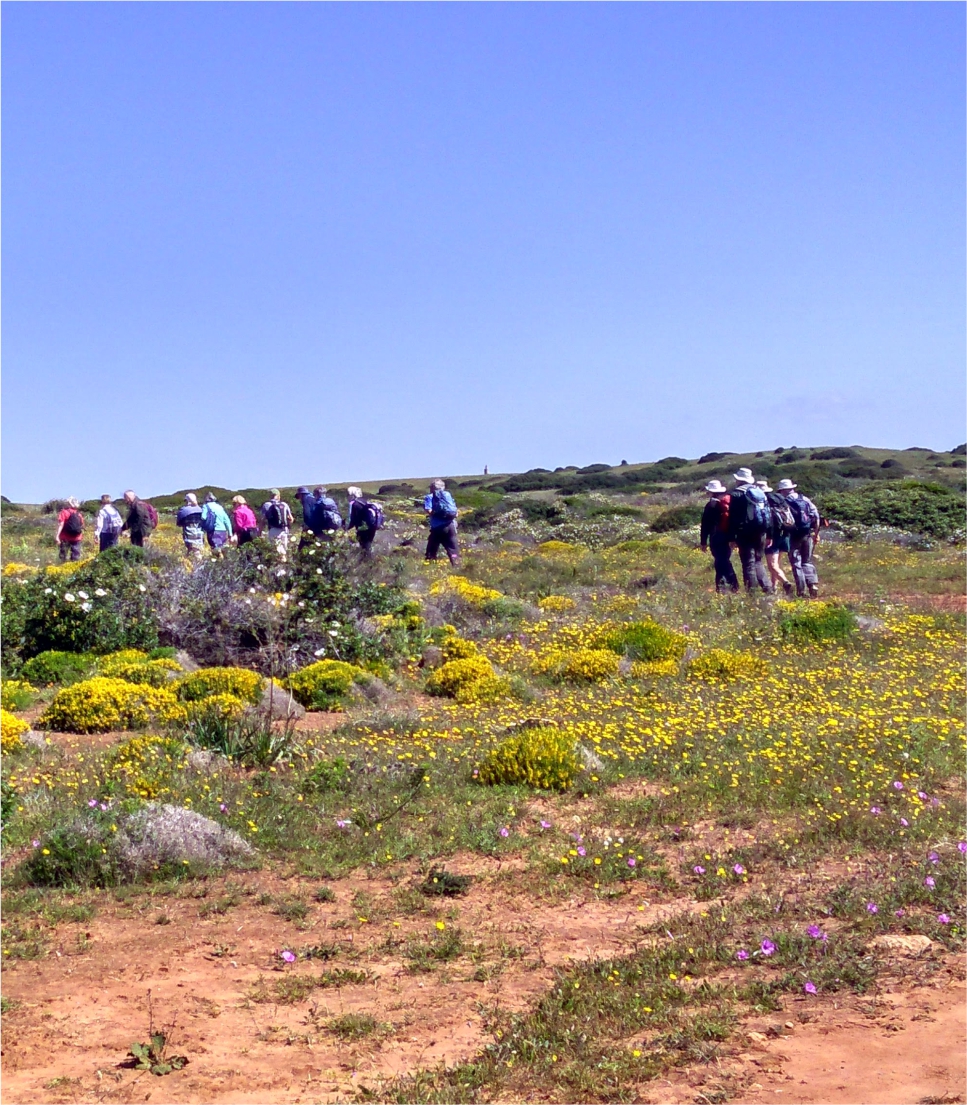 Walking The West Algarve