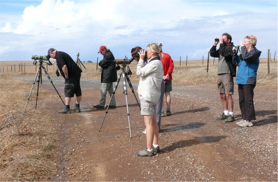 Activities in Portugal