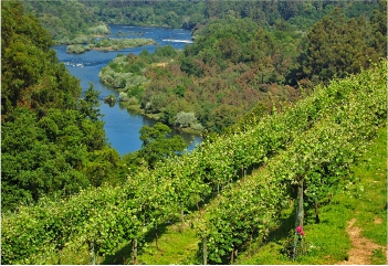 The Great Rivers Of The Vinho Verde