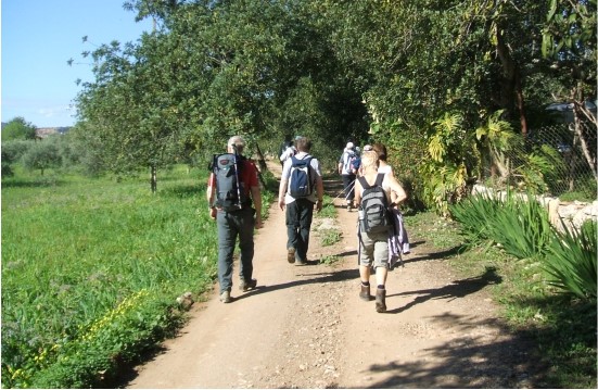 Guided Walking CyCling