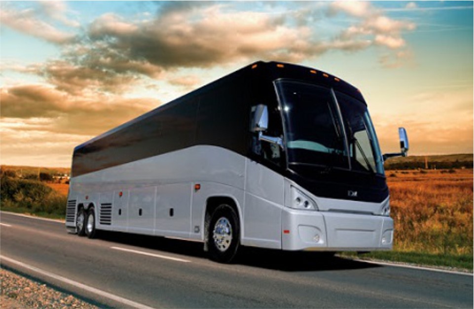 Transfers & Transport Services